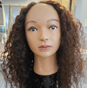 Curly Brown Hair Wig for Women
